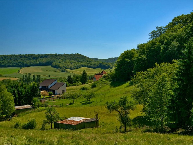 La vallée de la Canner