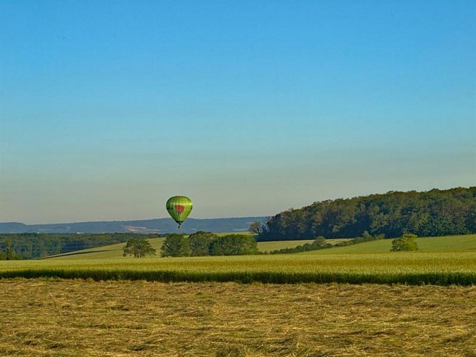 Paysage ouvert entre Vinsberg et les fermes de Schell