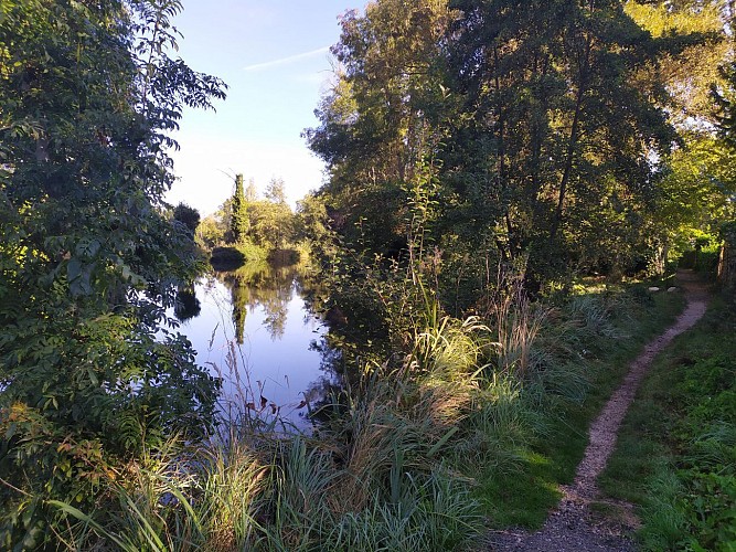 Les étangs de l'Essonne