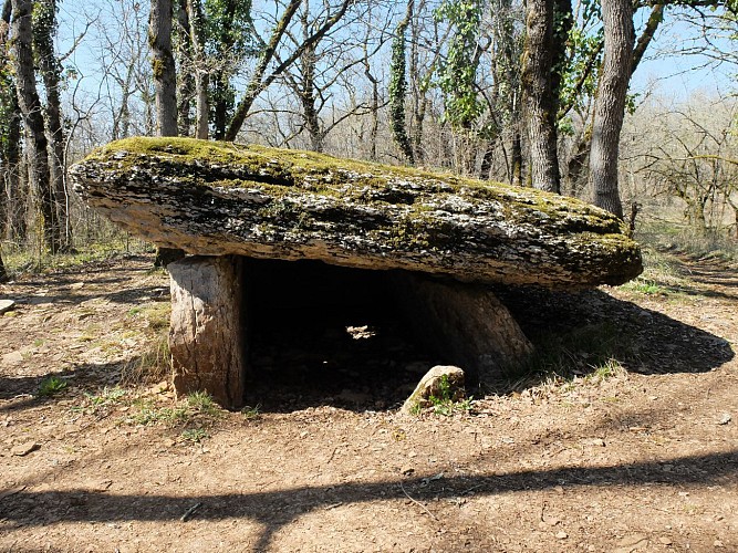 Circuit des dolmens de Martiel