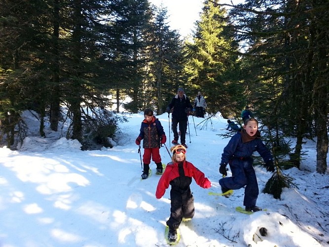 Schneeschuhwanderung - Col de la Croix de Fresse