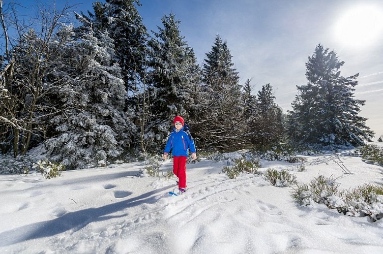 Sneeuwschoenwandeling - Col de la Croix de Fresse