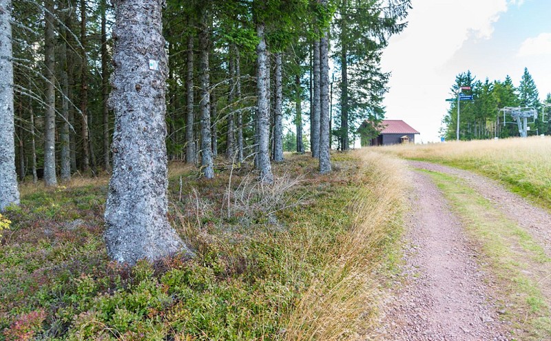 Circuit trail gerardmer n°1 (groen) - tour des pistes