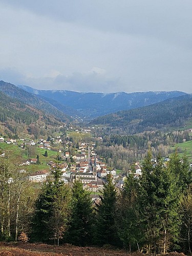 Familienspaziergang - Im Wald der Vogesen