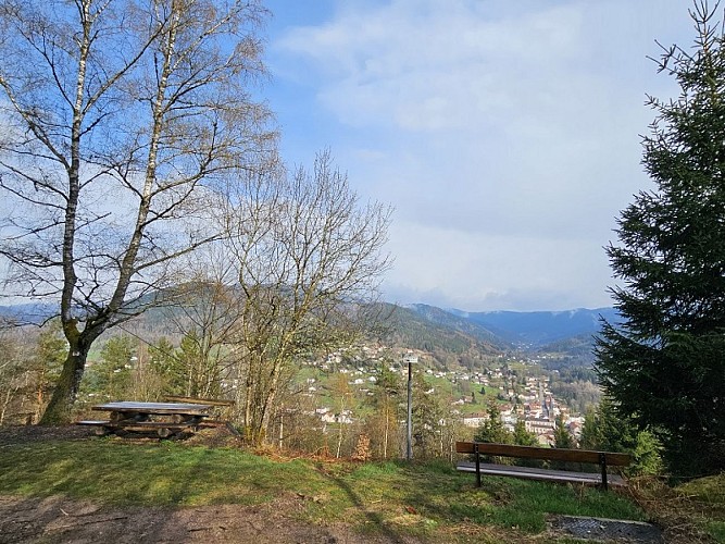Familienspaziergang - Im Wald der Vogesen
