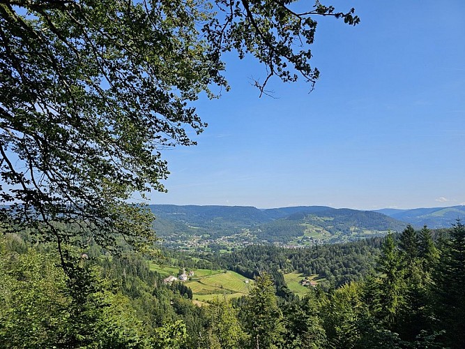 Familienwanderung - Rundgang der Teiche vom Schwartzen Teich aus