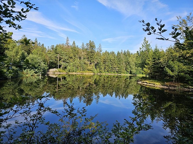 Familienwanderung - Rundgang der Teiche vom Schwartzen Teich aus