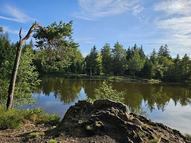 Familienwanderung - Rundgang der Teiche vom Schwartzen Teich aus