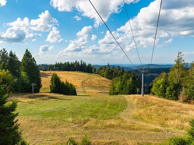 CIRCUIT TRAIL N°2 (GRÜN) - LA TETE DE GROUVELIN