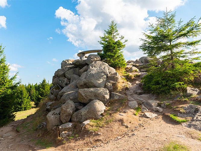 CIRCUIT TRAIL N°2 (GREEN) - LA TETE DE GROUVELIN