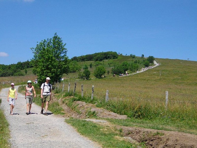 Sentier découverte du Ballon d'Alsace