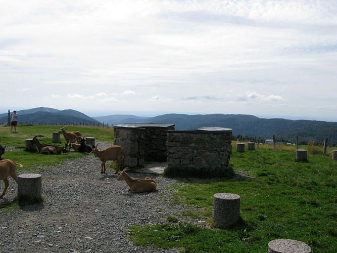 Sentier découverte du Ballon d'Alsace