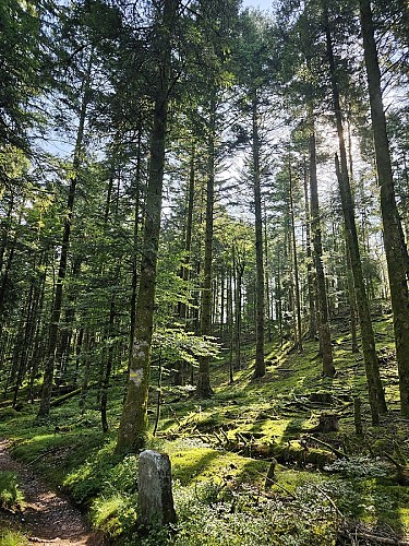 Family walk - La Beuille