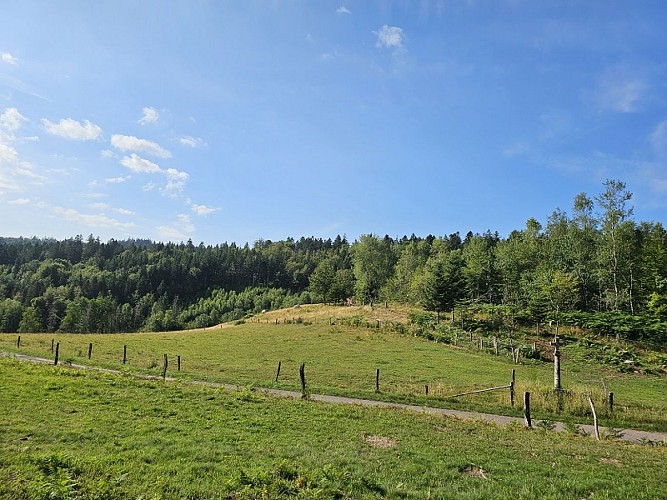 Family walk - La Beuille