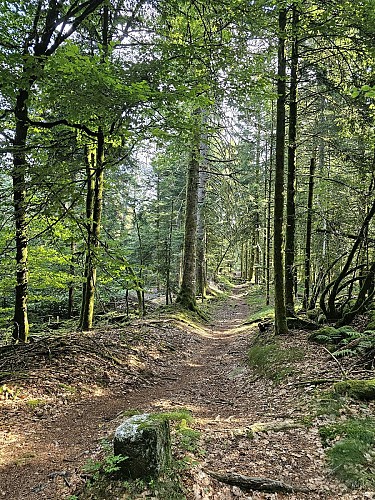 Family walk - La Beuille