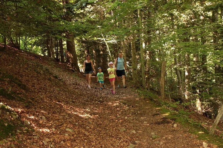 Family hike -Sentier des chèvres (goat path)