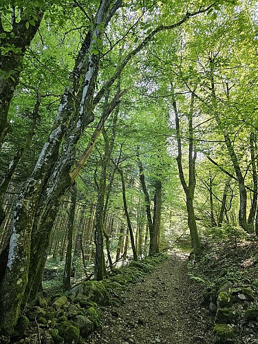 Family hike -Sentier des chèvres (goat path)
