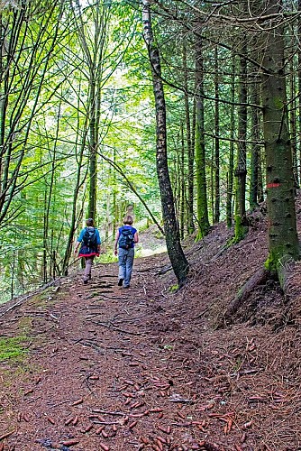 Wanderung - Die Statue von Sainte-Barbe über die Roches du Sabbat