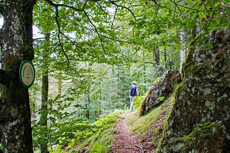 Hiking route : Statue of Saint Barbe and Sabbats rocks