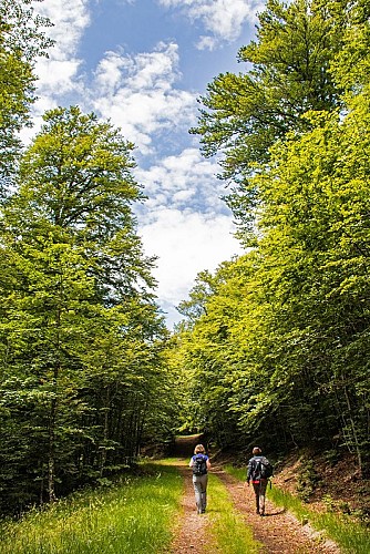 Hiking route : Statue of Saint Barbe and Sabbats rocks