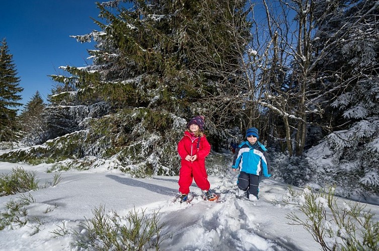 Schneeschuhwanderung - Col de Rochelotte