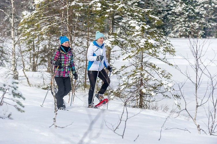 Snowshoeing trail - Col de Rochelotte