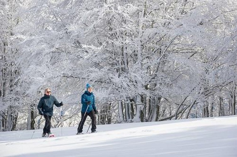 SCHNEESCHUHWANDERUNG - PETIT TOUR WISSGRUT