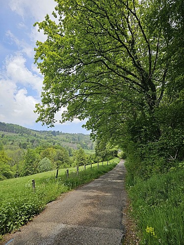 Familienspaziergang - La Rochaule