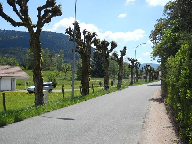 Randoland walk with children in Bussang