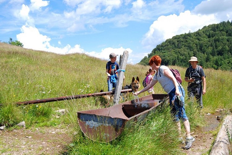 Balade famille - A la découverte des Neufs-Bois et de ses étangs