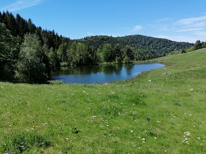Balade famille - A la découverte des Neufs-Bois et de ses étangs