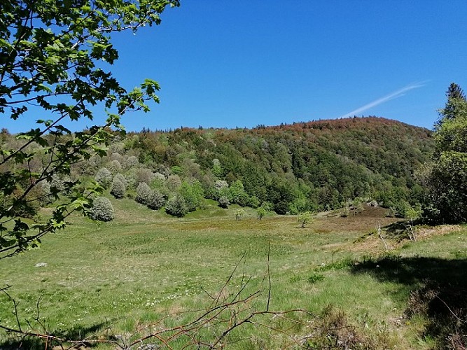Balade famille - A la découverte des Neufs-Bois et de ses étangs