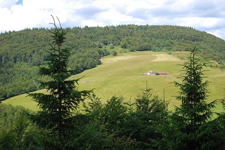 Balade famille - A la découverte des Neufs-Bois et de ses étangs