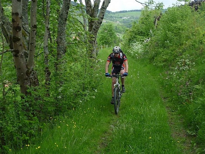 mountain bike route near me