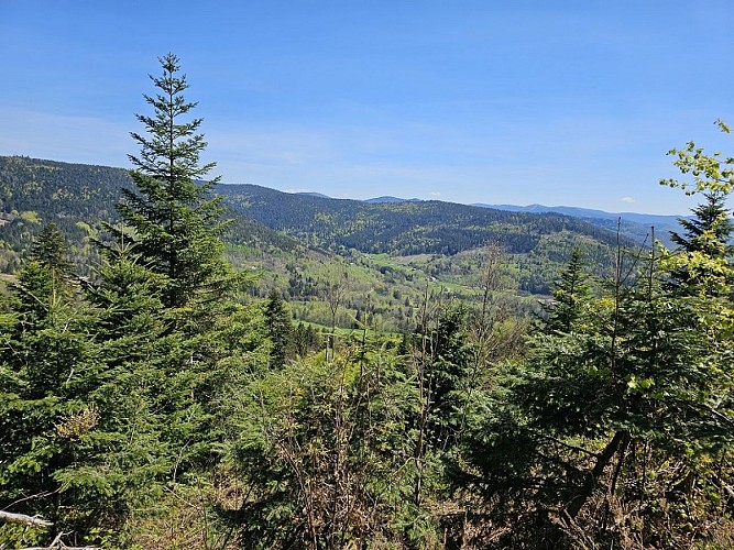 Familienspaziergang - Grebiay