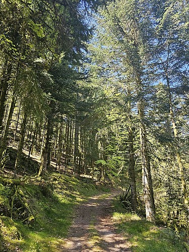 Family walk - Grebiay circuit