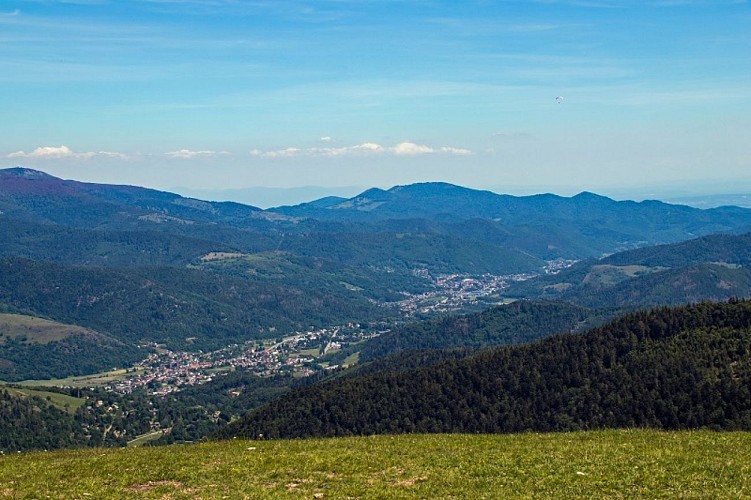 Wandeling voor het hele gezin - Het Drumont bergweide
