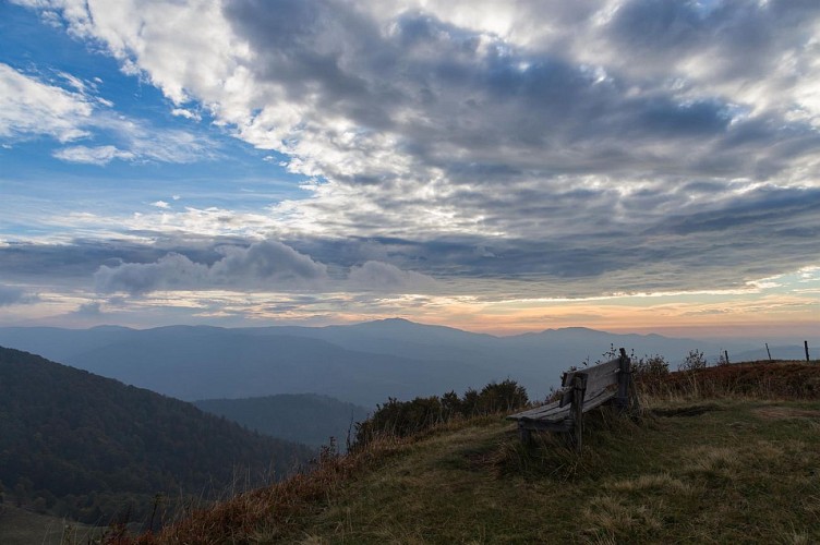 Wandeling voor het hele gezin - Het Drumont bergweide