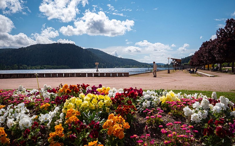 Le tour du lac de gerardmer - wandeling