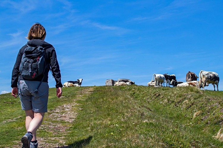 Wanderung zum Drumont auf den Russiers-Pfad