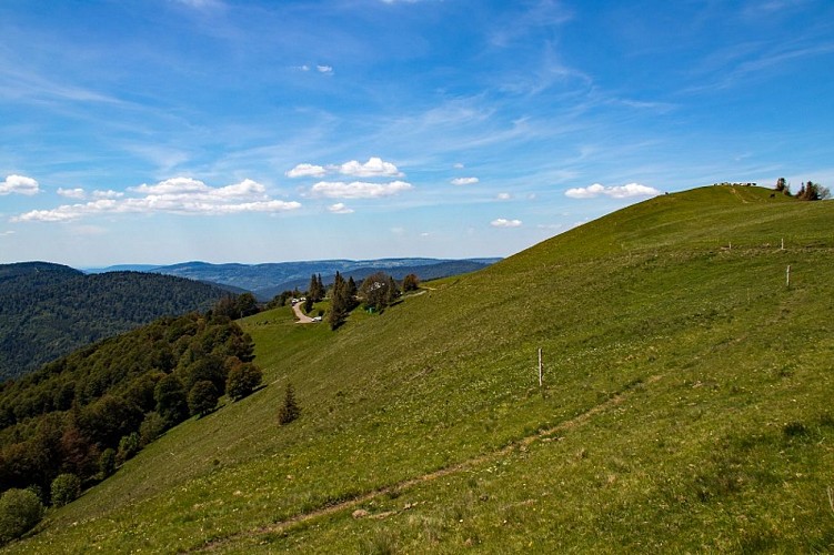 Wandelen door de Drumont via het Russiers-Pfad