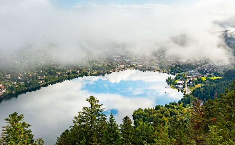 VTT merelle - bourrique