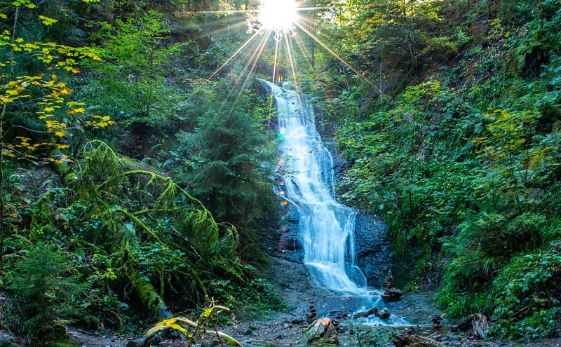 VTT merelle - bourrique