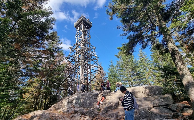 VTT merelle - bourrique