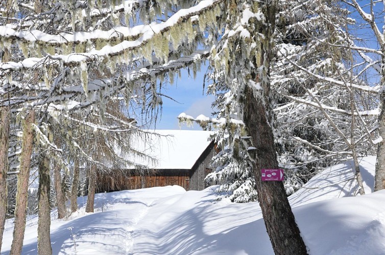 Boucle de Malatrait - sentier raquettes