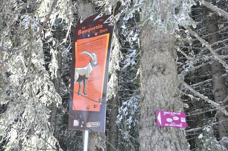 Boucle de Malatrait - sentier raquettes