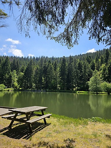 Familenspaziergang - Frac Teich