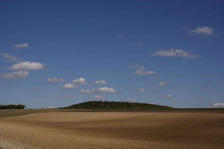 De la voie verte au site archéologique gallo-romain des Bouchauds