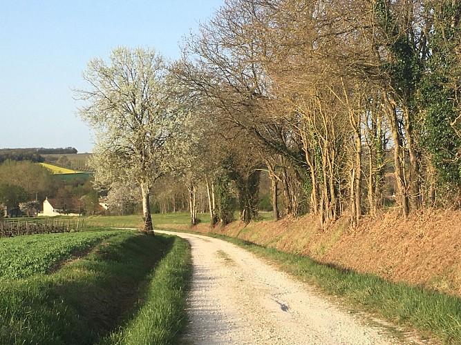 De la voie verte au site archéologique gallo-romain des Bouchauds