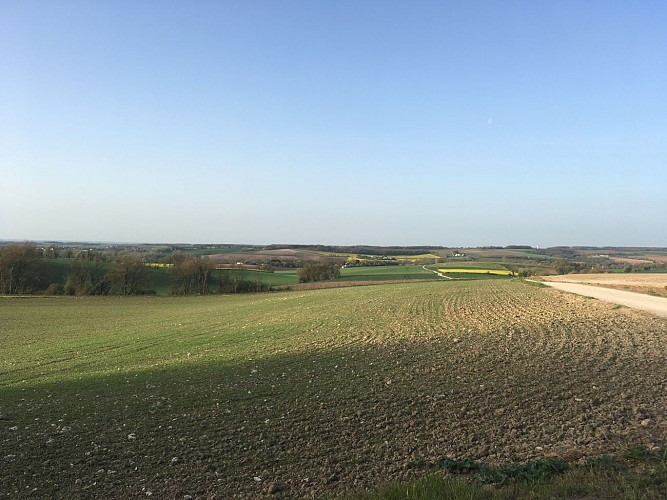 De la voie verte au site archéologique gallo-romain des Bouchauds